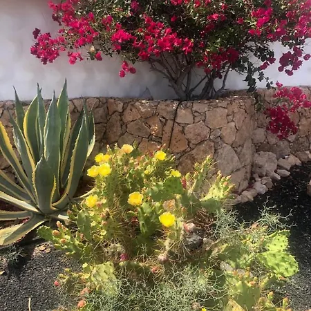 Lejlighed Aminas Ferienwohnung Fuerteventura Costa Calma