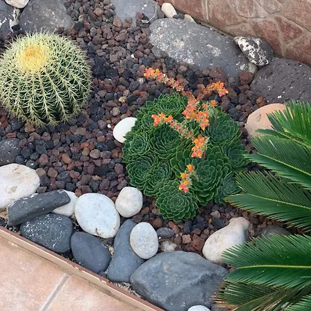Aminas Ferienwohnung Fuerteventura Lejlighed Costa Calma